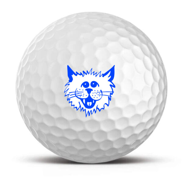 Golf Balls (Sold by the Dozen) Thumbnail
