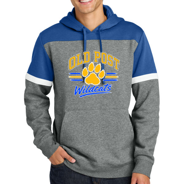 Wildcats Colorblock Hoodie Thumbnail